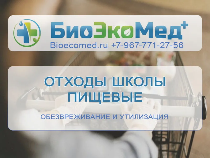 Отходы школы пищевые